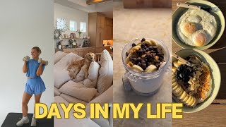 VLOG: protein ice cream recipe, scrapbooking, photo shoot for a new program, chatting about macros