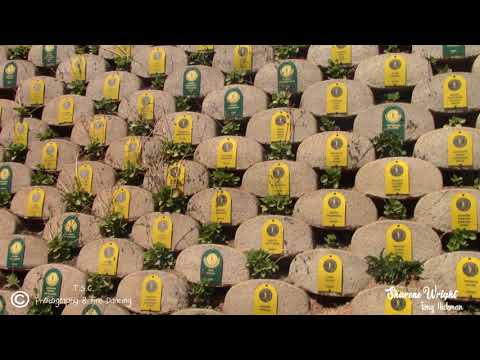 History of the Comrades Marathon