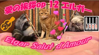 Download lagu 【愛の挨拶】op 12（エルガー）🎻🎹😽 mp3