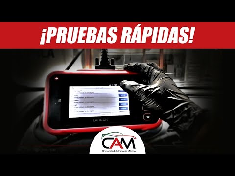 FUNCIONES DEL CRP 239