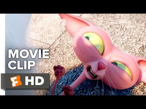 The Secret Life of Pets Movie CLIP - Where is Max? (2016) - Jenny Slate, Steve Coogan Movie HD
