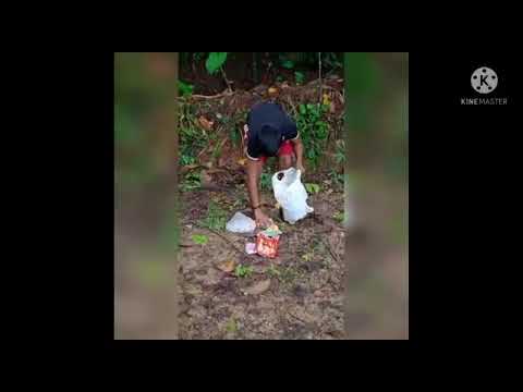 #Entry no 75#Online video contest#DVMNNMHSS MARANALLOOR#carbonneutralkattakada