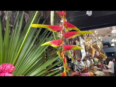 American School of Flower Design Michael Gaffney