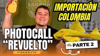 🥊  ¡El PHOTOCALL de PECES más CAÓTICO de Colombia! (Nico vs. Zaida) 🇨🇴 y... ¡muchas risas!