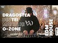 DRAGOSTEA DIN TEI MAI YA HI Cover EDM PARTY HOUSE