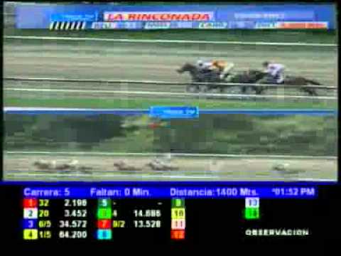 5TA CARRERA DOMINGO 29 ABRIL LA RINCONADA AUDIOHIPISMO