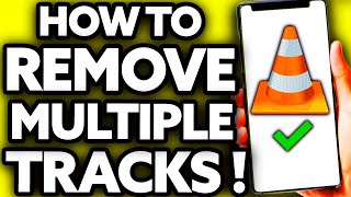 How To Remove Multiple Audio Tracks From Video in VLC
