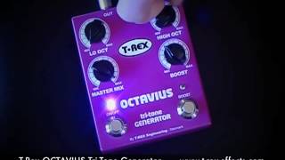 Video thumbnail for T-Rex  OCTAVIUS by Woodbrass