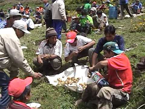 Colcabamba. Costumbres de mi pueblo 4