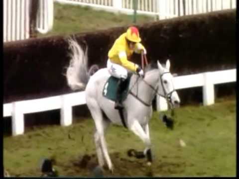 Neptune Collonges - Winning in 2011 at Cheltenham.