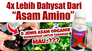 Download lagu 4 KALI LEBIH DAHSYAT DARI ASAM AMINO.❗❗ 8 JENIS ASAM ORGANIK PALING BERMANFAAT UNTUK TANAMAN mp3