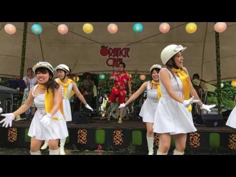 Descargar 桑田研究会