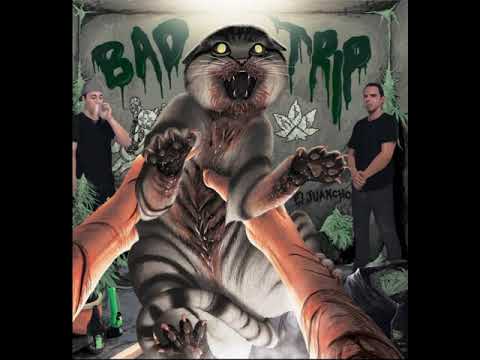 Arschloch, Der Das 2019   Bad Trip