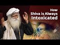 Why & How Shiva Is Always Intoxicated