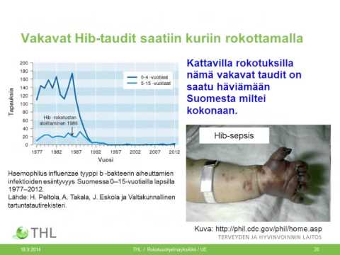 orrfossa papilloma klór méregtelenítés