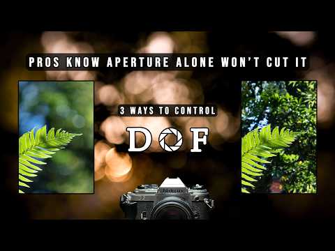 Learn Depth of Field in 6 Minutes (With Real Examples)