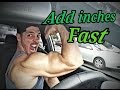 How to Get Bigger Arms Fast (Workout Video)