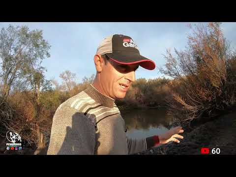 PESCA EN 3 PUENTES  CON EQUIPO DE ULTIMA GENERACÍON.