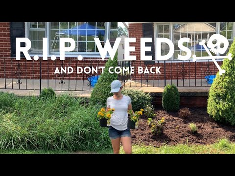 YouTube video about: How to stop weeds from growing in flower bed?