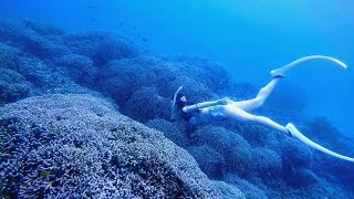Recreational Freediving! Play in the coral forest! - Okinawa, Agenashiku, April 2015 (沖縄安慶名敷島)