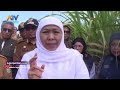 GUBERNUR KHOFIFAH PASTIKAN LAHAN UNTUK SEKOLAH RAKYAT STANDAR INTERNASIONAL ATV MALANG RAYA
