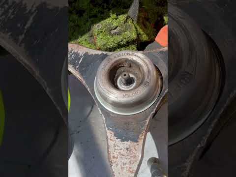 This Blade is a Beast! 👹