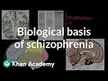 Biological Basis Of Schizophrenia Behavior MCAT Khan Academy