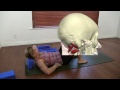 Relax Your Neck With Doreen Madison
