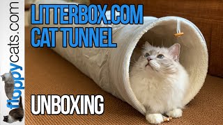 Best Cat Tunnel Indoor for Large Cats - Litterbox.com Cat Tu