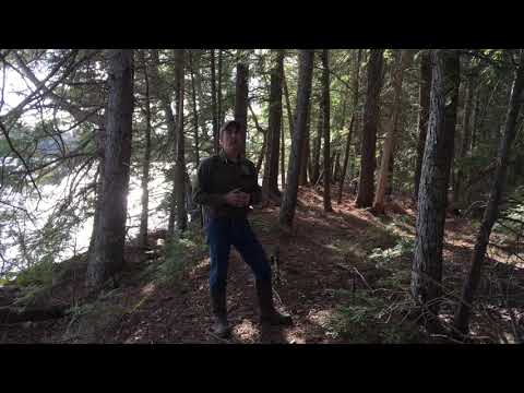 Horseshoe Lake Lakeville, Maine Land For Sale | Maine Real Estate