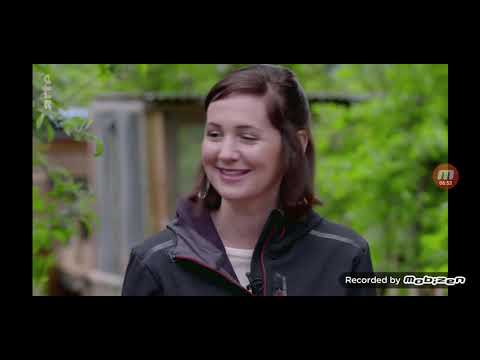 arte Xenius: Igel - Überlebenskünstler in Gefahr 2020