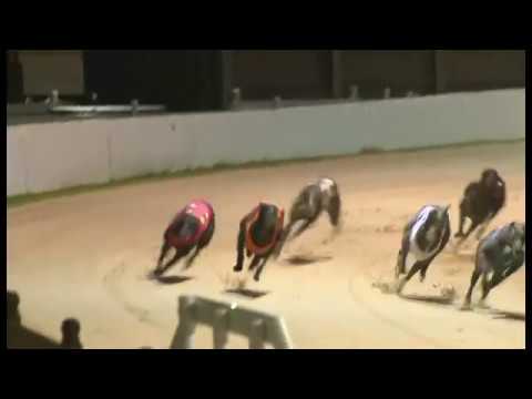 Burgess Paradise - Coral Essex Vase Heat 4