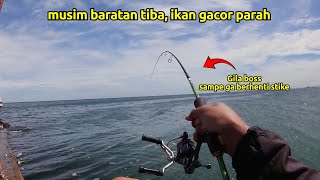 Download lagu Hari ini gacor parah‼️ musim baratan tiba, MANCING DI DAM MERAH MUARA BARU  mp3