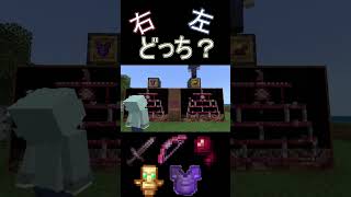 右左どっち？選んだ装備でウィザー討伐【マイクラ/うまたけ編】