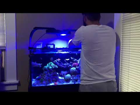 Skimz protein skimmer light adjustment.