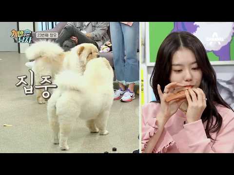 170930 Sohye playing an instrument @ The Man Who Feeds Dogs