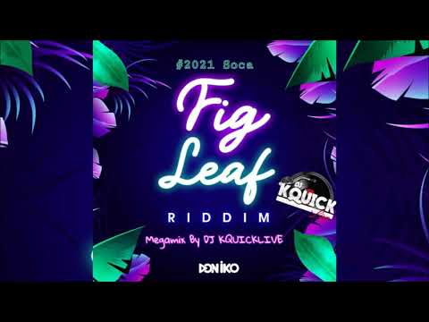 Fig Leaf Riddim Mega Mix (2021 SOCA) - Crystal Tais, Nadia Batson & Lyrikal