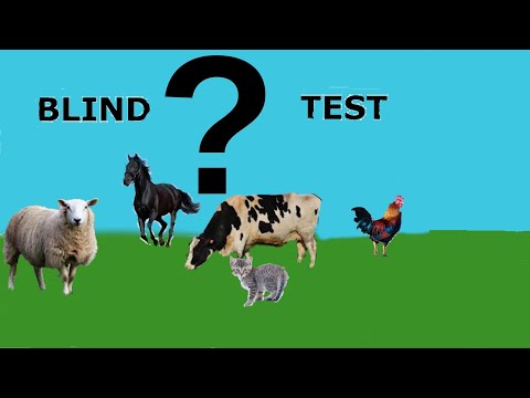 BLIND TEST ANIMAUX (26 cris avec réponses et noms, niveau enfant)