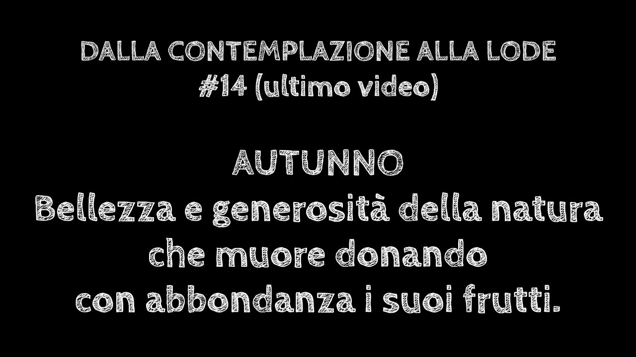 Dalla contemplazione alla lode 14
