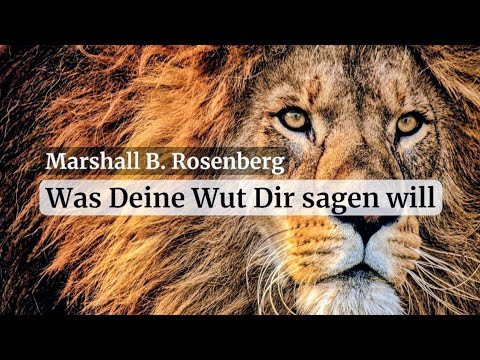 Was Deine Wut Dir sagen will - Gewaltfreie Kommunikation mit Marshall B. Rosenberg