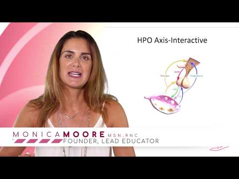 HPO Axis a Quick Tour (Course Excerpt)