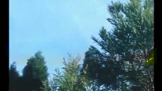 Film : Man , Lyrics : Ibson Lal Baruah