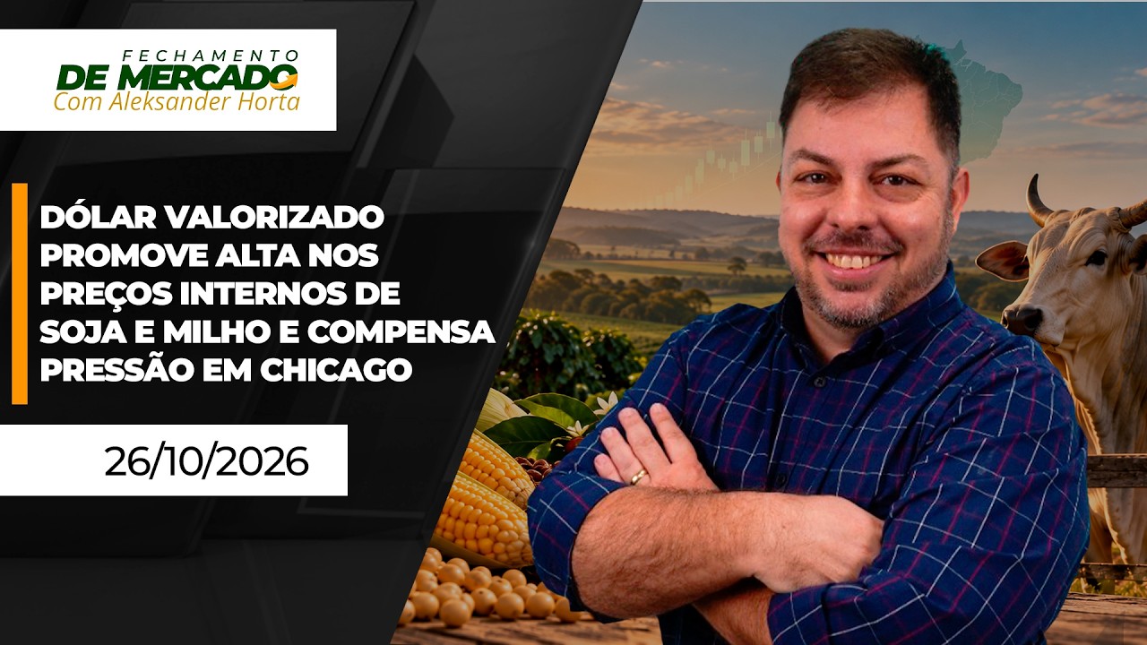 FECHAMENTO DE MERCADO - Dólar em alta beneficia milho , soja  e café no Brasil ; boi aguarda...