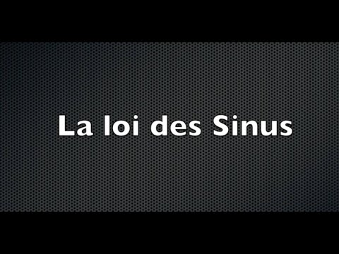 , title : 'Loi des Sinus'