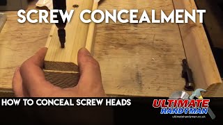 How to conceal screw heads | Screw digger | Plug cutter