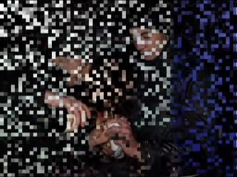 Piscu Sadovei album.mpg