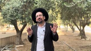 ושמחת במקום אשר בחר ה׳ | הרב אליהו ובר (ישיבת הר הבית) - התמונה מוצגת ישירות מתוך אתר האינטרנט יוטיוב. זכויות היוצרים בתמונה שייכות ליוצרה. קישור קרדיט למקור התוכן נמצא בתוך דף הסרטון