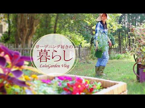 庭用の干し柳 植物
