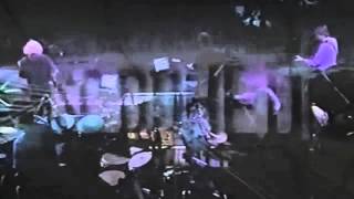 Grateful Dead Final Concert 7-9-1995