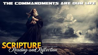 PFL-Daily Scripture Reflection and Reading: The Commandments are our Life - July 28, 2023